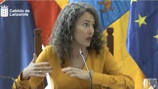 Ariagona González - Pleno sobre la ordenanza del taxi de San Bartolomé