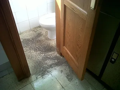 Thumbnail of Ba&ntilde;o comisar&iacute;a T&iacute;as_0.jpg