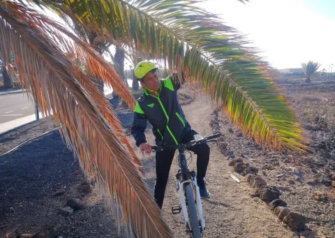 Thumbnail of Senderos palmera .jpeg