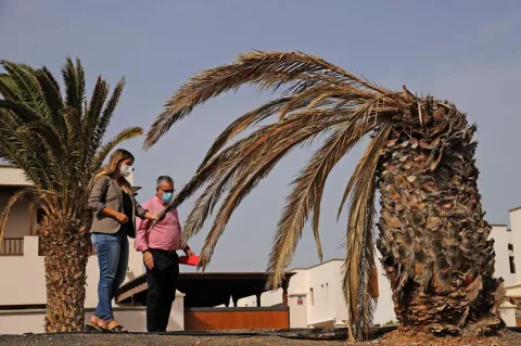Thumbnail of costa-teguise-2.jpg