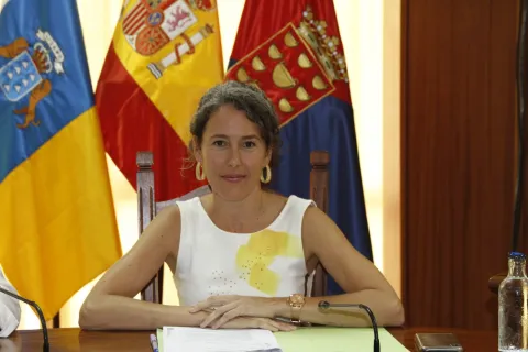 Thumbnail of Ariagona González - Pleno del Cabildo - 2023-07-28 - 2.jpeg
