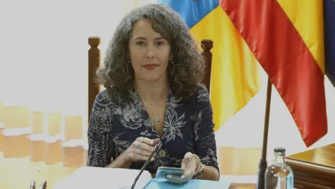 Thumbnail of Ariagona González en el Pleno.jpg