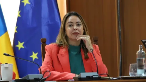 Thumbnail of Loli Corujo - Pleno del Cabildo de Lanzarote - 2.jpeg
