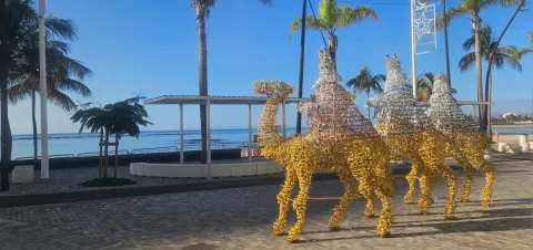 Thumbnail of 3249ab29-983c-4d68-afb1-524c0865b213.jpeg